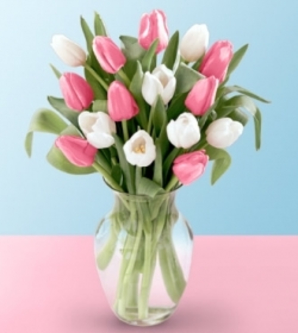Tulips Together